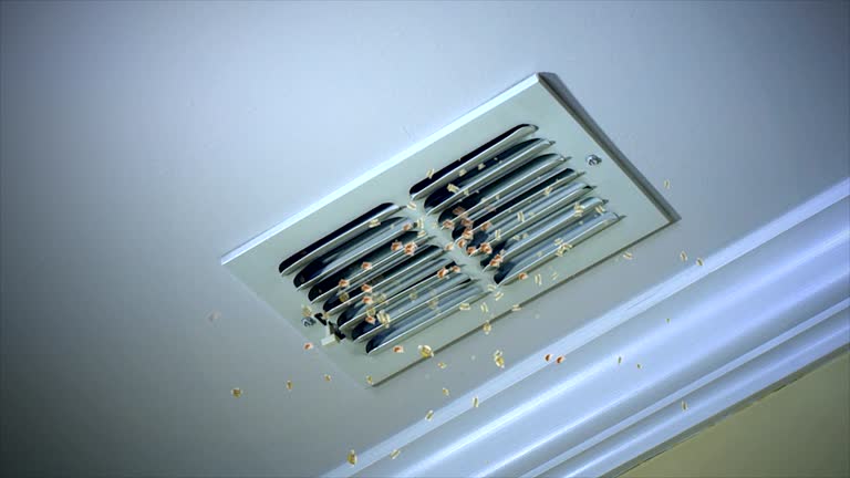 Best Ductwork Cleaning Services  in Rutgers University Busch Campus, NJ