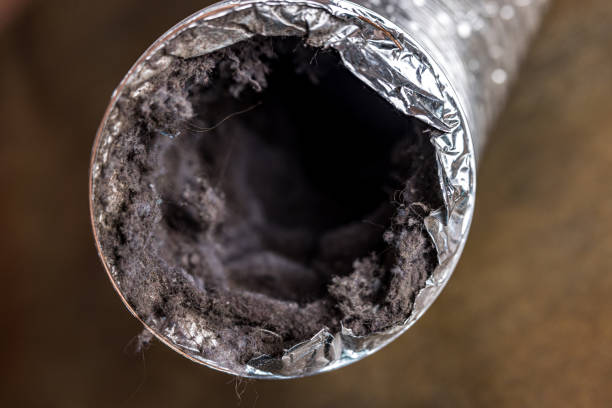 Best Best Air Duct Cleaning Company  in Rutgers University Busch Campus, NJ